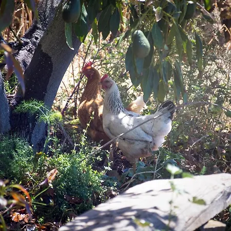 La Casa De La Cartita