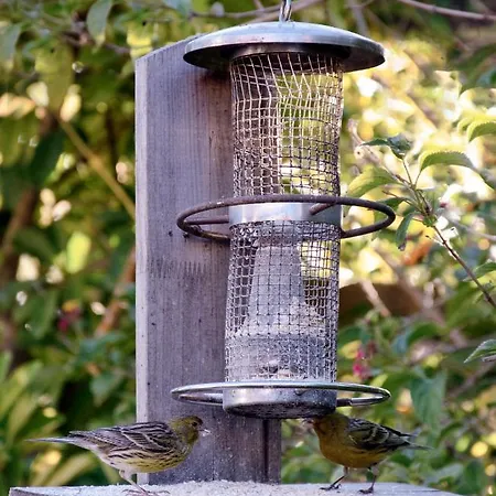 La Casa De La Cartita *